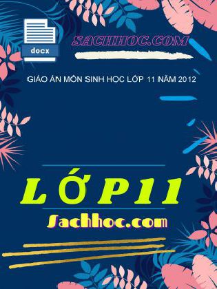Giáo án môn sinh học lớp 11 năm 2012